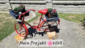 Projekte